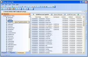 Spices.Net Decompiler Screenshot